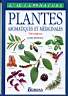 plantes aromatiques et medicinales.jpg